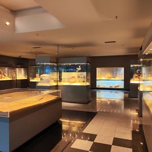 Archaeological Collection in Athens airport (Greece) #2