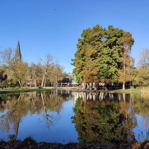 Autumn Reflection in Amsterdam Park (Netherlands)