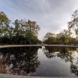 "Parc de Bruxelles" park in Brussels (Belgium)