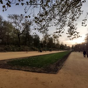 Brussels Park (Belgium) #3