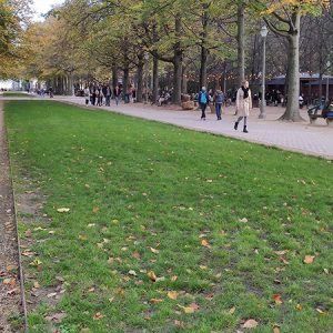 Brussels Park (Belgium) #6