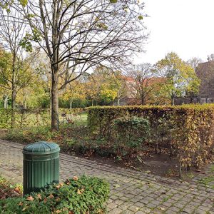 Autumnal park pathway in Brussels (Belgium)