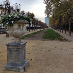 Royal park alley, Brussels (Belgium)