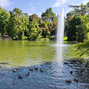El Retiro Park with fountain and ducks, Madrid (Spain)