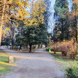 King's Park in Podgorica (Montenegro) #2