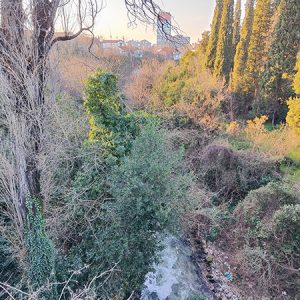 Ribnica River in Podgorica (Montenegro)