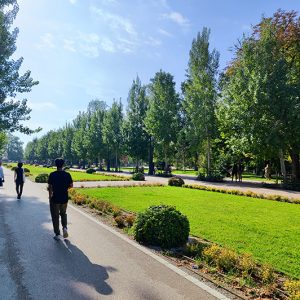El Retiro Park in Madrid (Spain)
