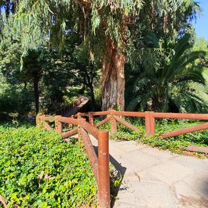 Wooden Bridge in a Madrid Park (Spain)